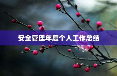安全管理年度个人工作总结
