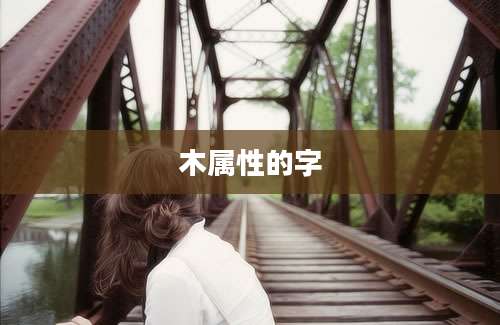 木属性的字