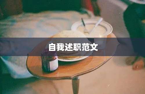 自我述职范文