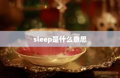 sleep是什么意思