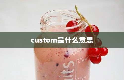 custom是什么意思