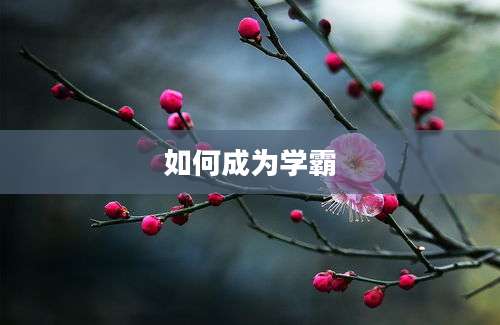 如何成为学霸