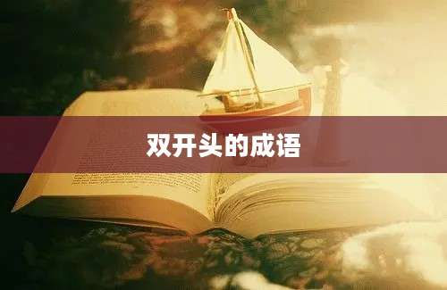双开头的成语