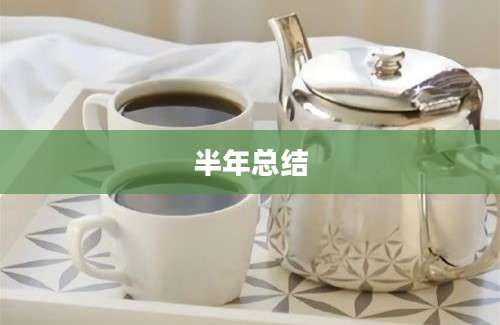 半年总结