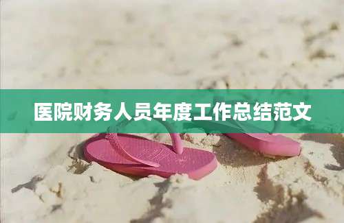 医院财务人员年度工作总结范文