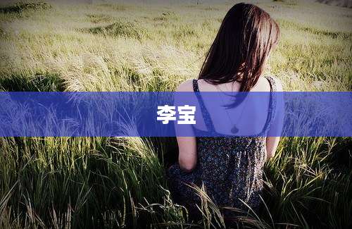 李宝