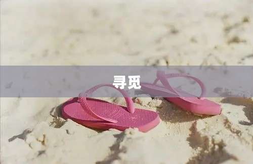 寻觅