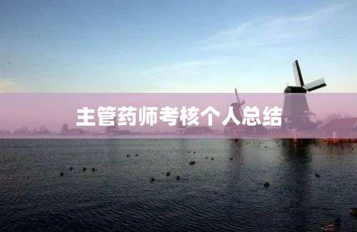主管药师考核个人总结