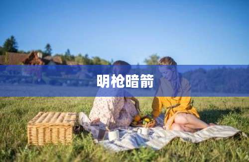 明枪暗箭
