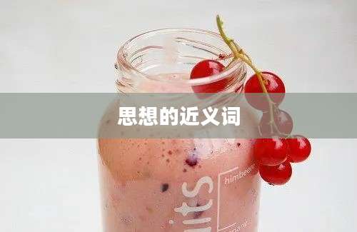 思想的近义词
