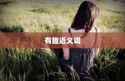 有趣近义词