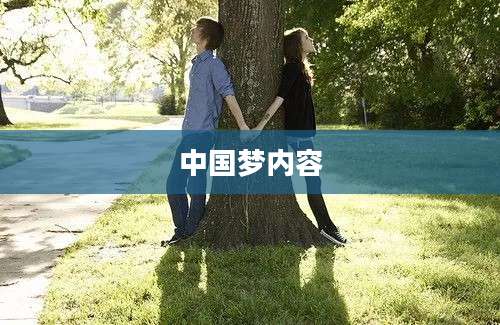中国梦内容