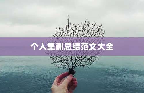个人集训总结范文大全