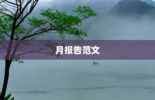 月报告范文