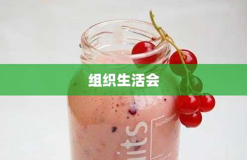 组织生活会