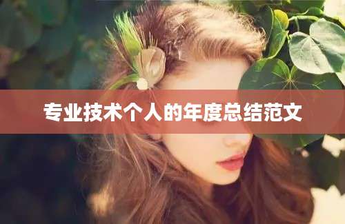 专业技术个人的年度总结范文
