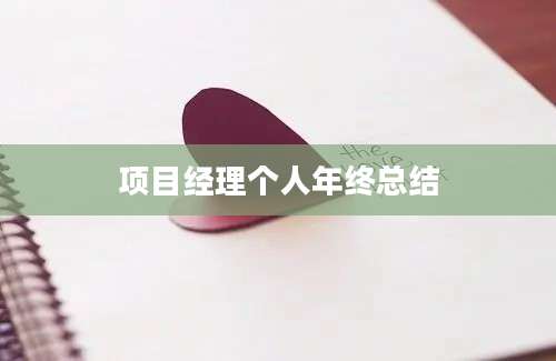 项目经理个人年终总结