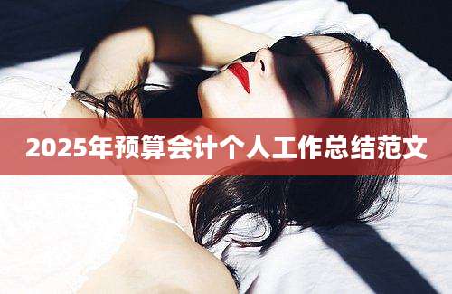 2025年预算会计个人工作总结范文