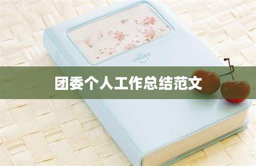 团委个人工作总结范文