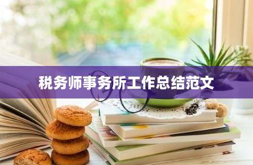 税务师事务所工作总结范文