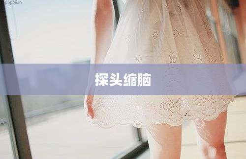探头缩脑