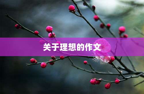 关于理想的作文