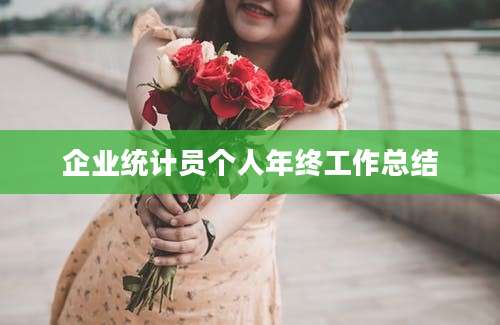 企业统计员个人年终工作总结