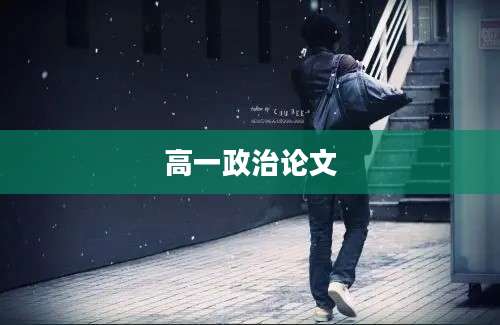 高一政治论文
