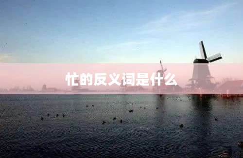 忙的反义词是什么