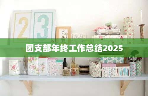团支部年终工作总结2025
