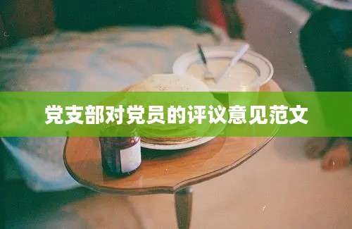 党支部对党员的评议意见范文