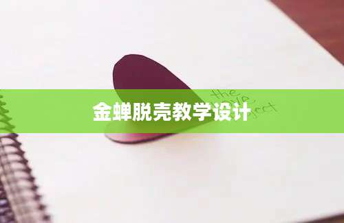 金蝉脱壳教学设计
