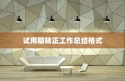 试用期转正工作总结格式