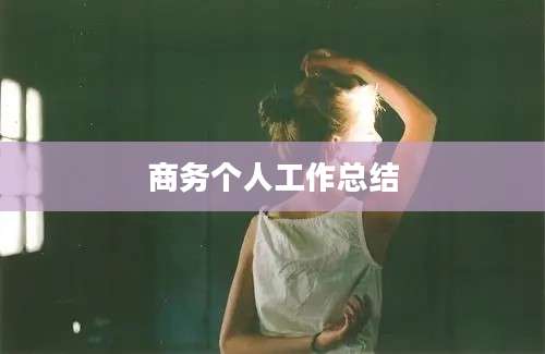 商务个人工作总结