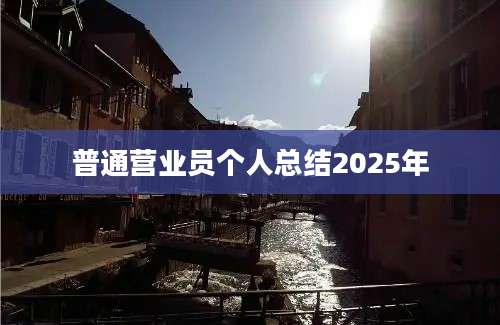 普通营业员个人总结2025年