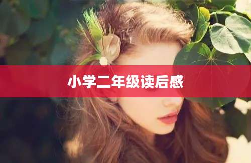 小学二年级读后感