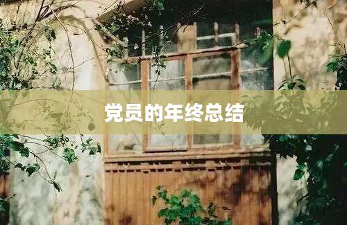 党员的年终总结