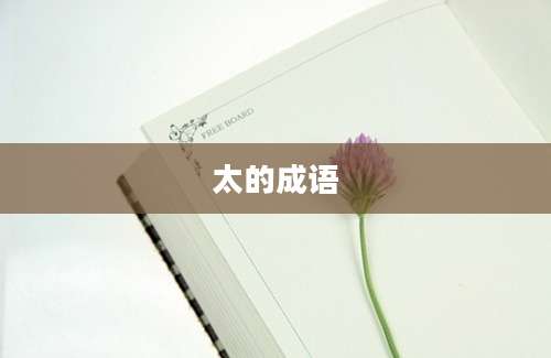 太的成语