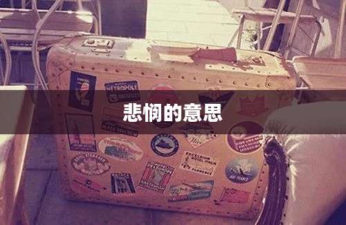 悲悯的意思