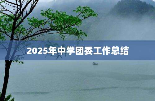 2025年中学团委工作总结