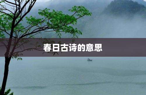 春日古诗的意思