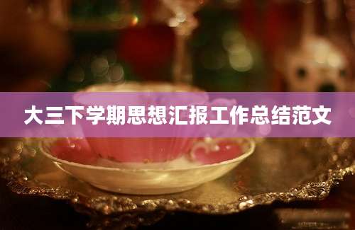 大三下学期思想汇报工作总结范文