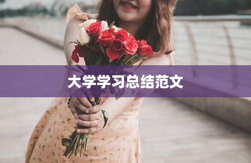 大学学习总结范文