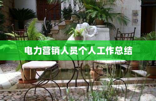 电力营销人员个人工作总结