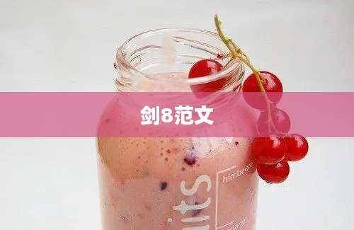 剑8范文
