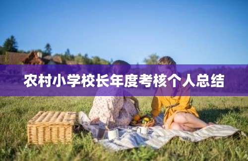 农村小学校长年度考核个人总结