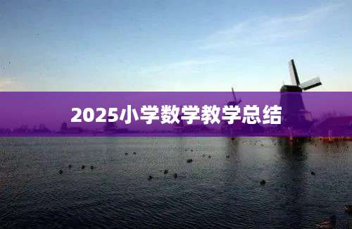2025小学数学教学总结