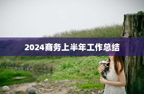 2024商务上半年工作总结