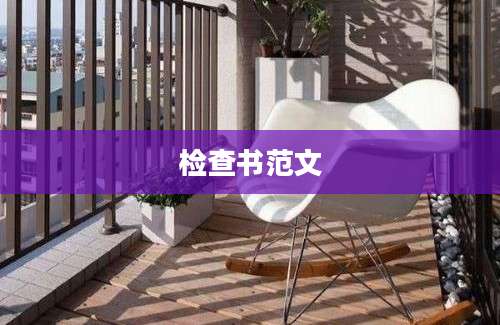 检查书范文