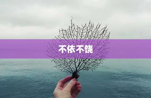 不依不饶